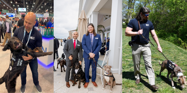 Beacon Helping Veterans Paw