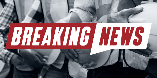 Rising Stars Program launches mentorship alliance with New York-based partners