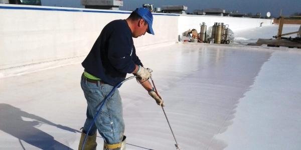 Maintenance, chemistry and the “forever roof” myth