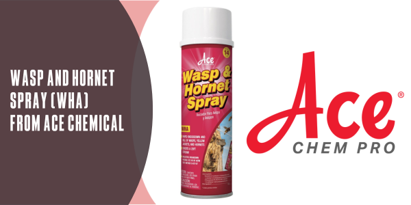 ACE Chemical Wasp and Hornet Spray (WHA)