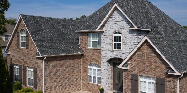 Nature-inspired innovation: A bold move in roofing aesthetics