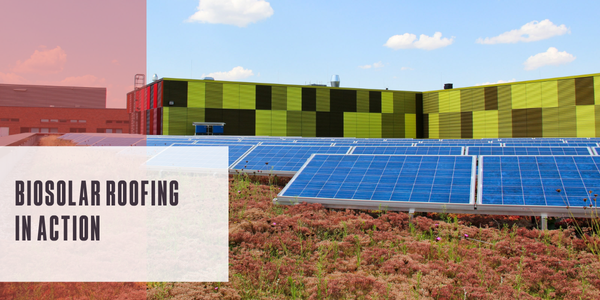 Biosolar roofing in action Biosolar roofing in action