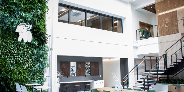 Bringing life to modern architecture, one wall at a time Bringing life to modern architecture, one wall at a time