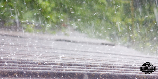 Assessing your roof after the storm