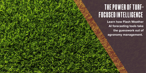 The power of turf-focused intelligence