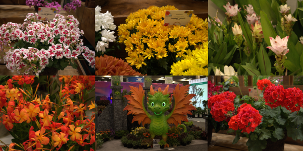Cultivate’26 connects growers, landscapers and outdoor living professionals