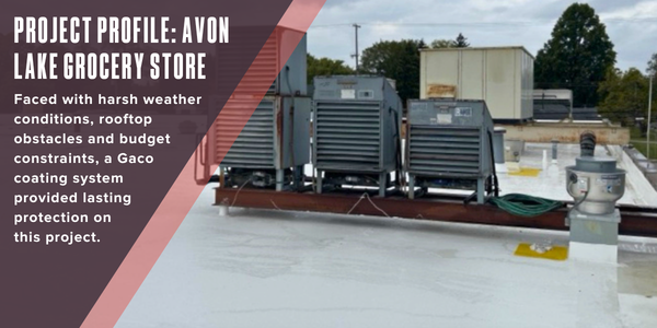 Project profile: Avon Lake grocery store